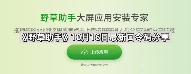 ES文件浏览器野草