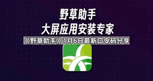 《影视大全》：最新口令码分享方法全解