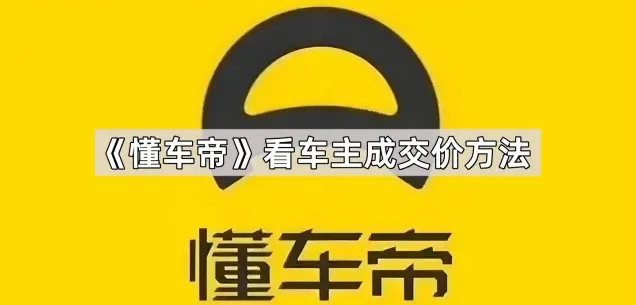 懂车帝成交价