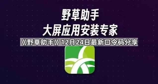 《TA》：口令码分享全教程