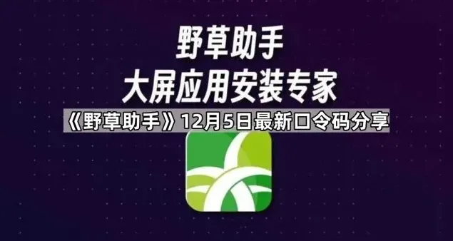 《央视频》：远程安装步骤指南