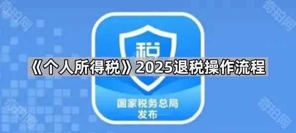 《个人所得税》2025退税操作步骤详解