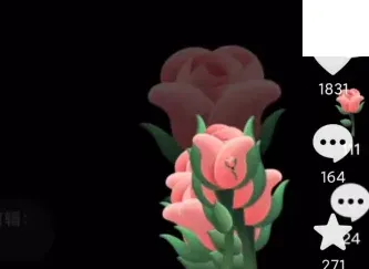 抖音玫瑰花