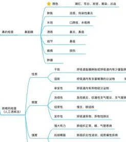 动物