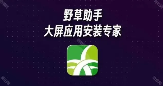 《TA》最新口令码分享：完整教程