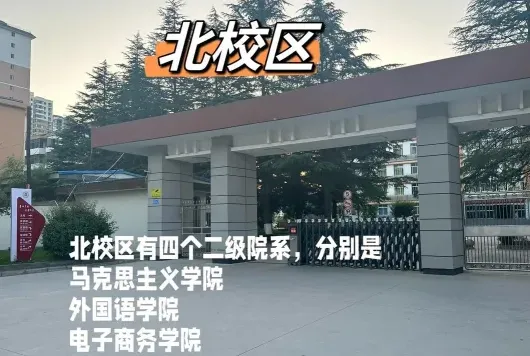 校级