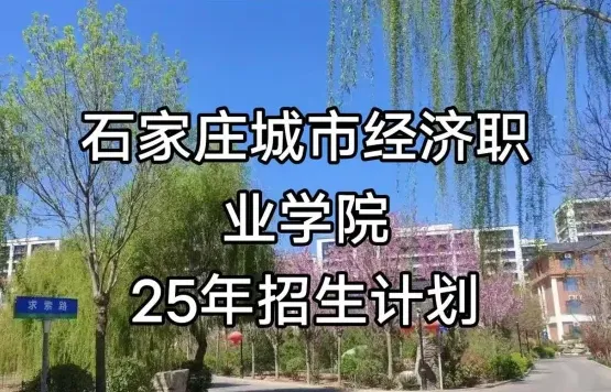 城市经济