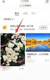 小红书如何删除