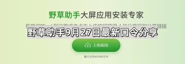 QQ野草