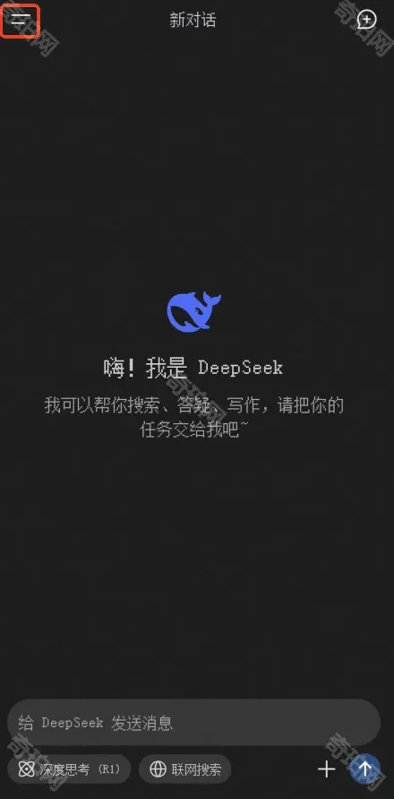 DeepSeek语言