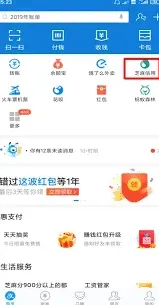 支付宝芝麻粒