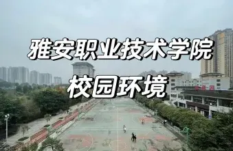学院