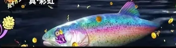 《欢乐钓鱼大师》真彩虹钓鱼流程
