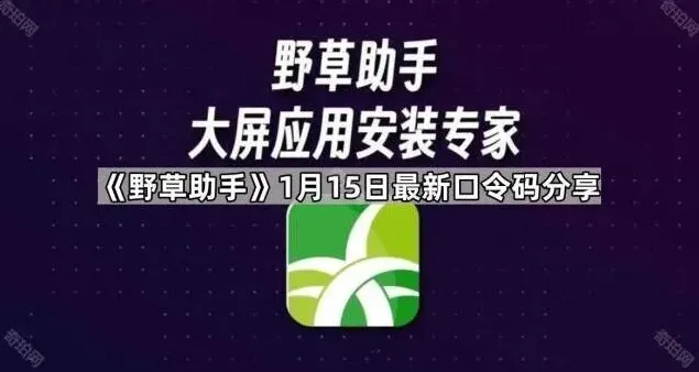 《TA》软件安装口令码完整指南