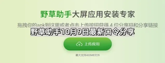 最新版野草助手口令分享指南