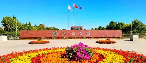 成绩查询