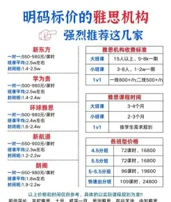 雅思