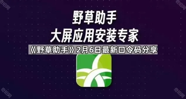 《野草助手》最新口令码分享步骤