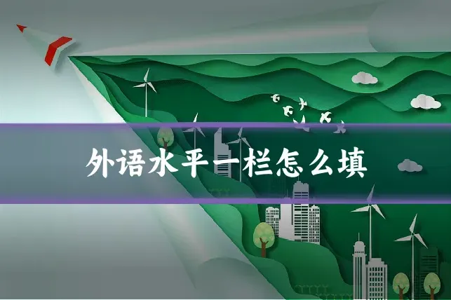 外语水平一栏怎么填
