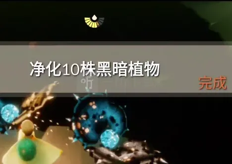 光遇介绍
