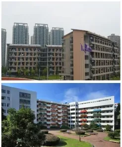 技能型人才