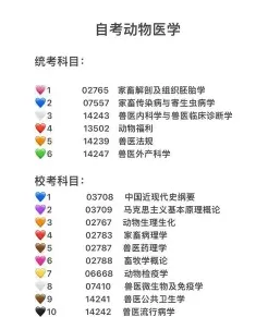 国家和地区