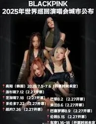 《大麦》2025Blackpink世界巡演抢票技巧