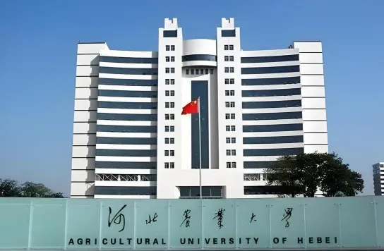 学院