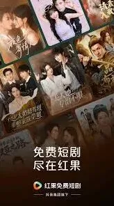 红果短剧网页版入口使用技巧