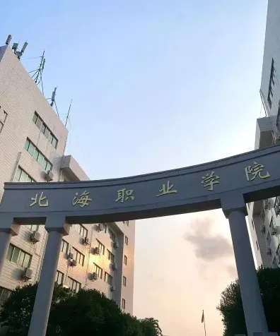 实训