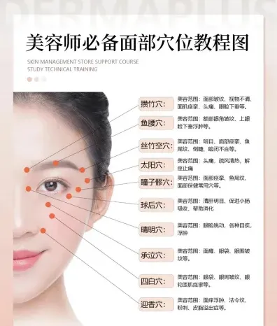 提供