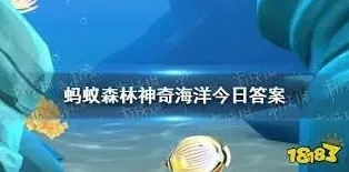 支付宝答案是什么