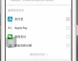 大麦app支付方式技巧教程