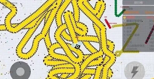 贪吃蛇大作战高分截图分享：2万分战绩