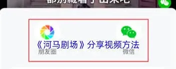 分享视频使用指南河马剧场