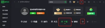 爱奇艺本地视频