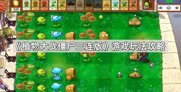 植物大战僵尸游戏玩法