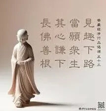 他趣小窗播放功能教程