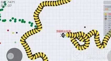贪吃蛇大作战小技巧