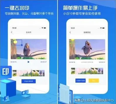 抖音作品