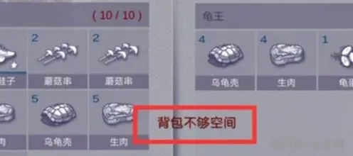 庇护所背包