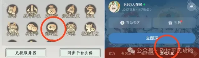 寻道大千游戏人生