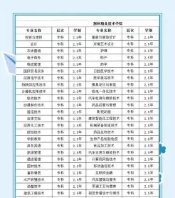 专业