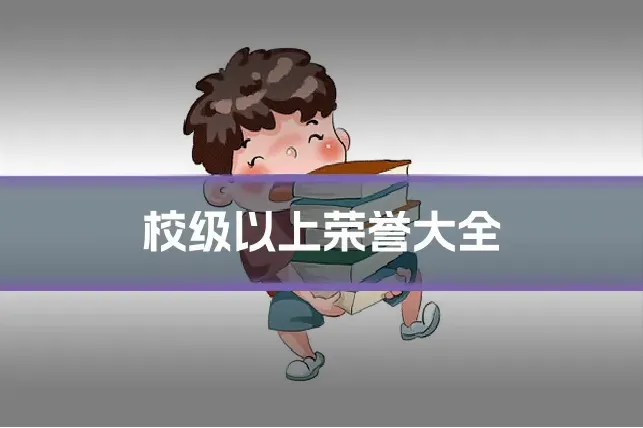 校级以上荣誉大全