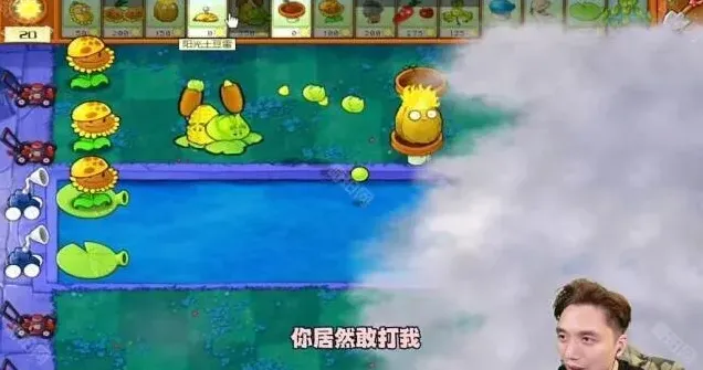 植物大战僵尸杂交