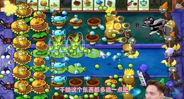 植物大战僵尸攻略