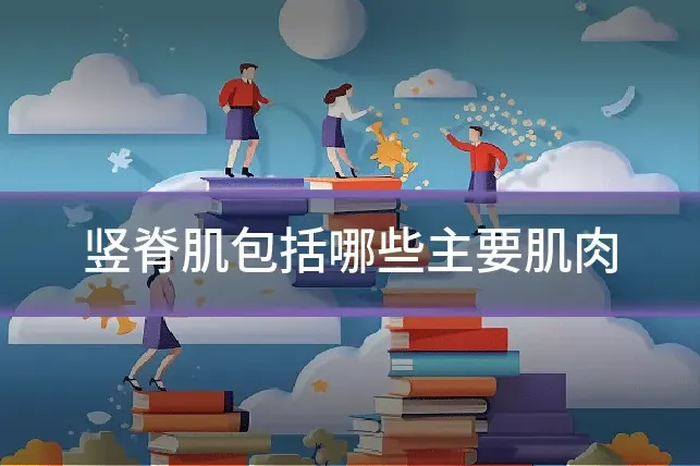 竖脊肌包括哪些主要肌肉