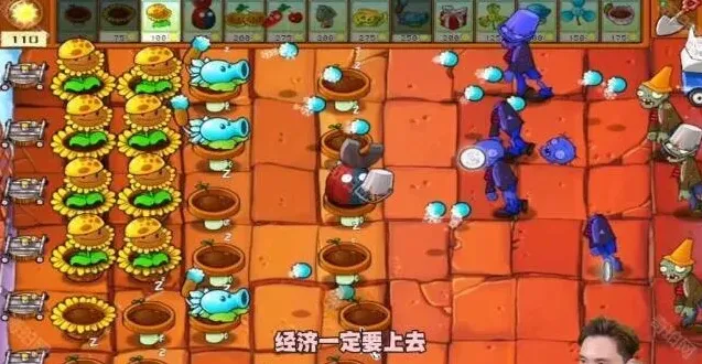 植物大战僵尸攻略
