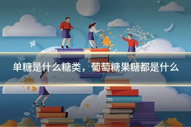 单糖是什么糖类,葡萄糖果糖都是什么