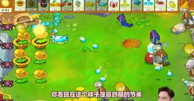 植物大战僵尸杂交